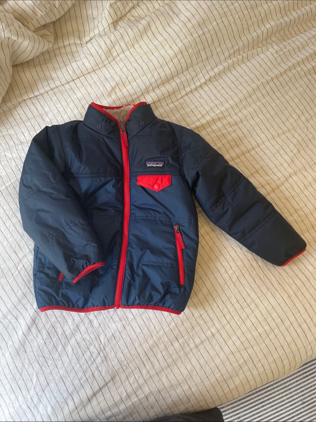Sherpa Lined Reversible Patagonia Jacket